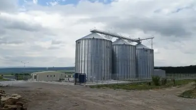 Зърнобаза Търновца