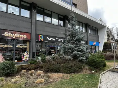 Raya Toys - Младост - Магазин за бебешки стоки и детски играчки