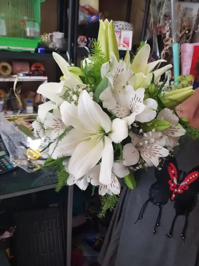 The Flowers Of Kleopatra Kai