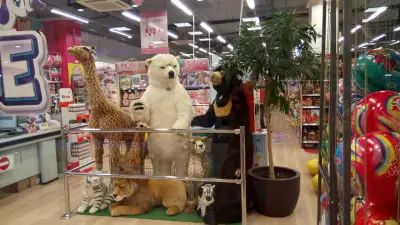 Комсед The Mall