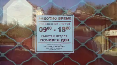 Далко Моторс ООД