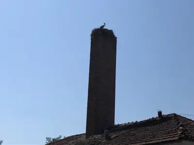Кметство Окоп
