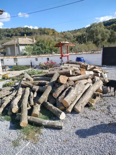 КМЕТСТВО МАРЧИНО