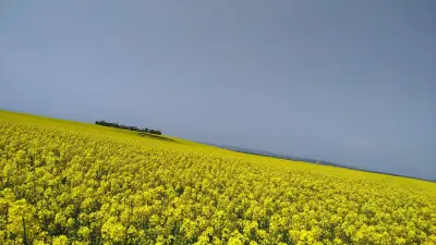 Кметство Голямо Църквище