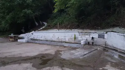 КМЕТСТВО МОМИНО