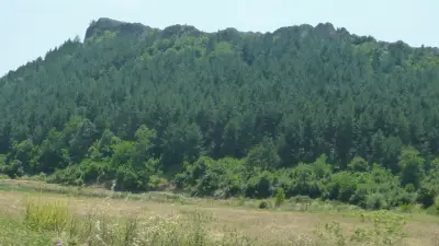 Кметство Планинец