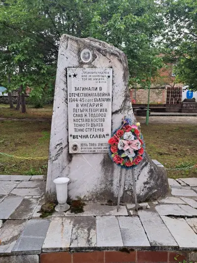Кметство Българин