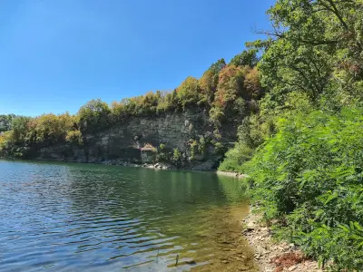 Кметство Камилски дол