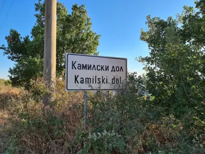 Кметство Камилски дол