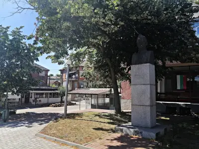 Кметство Студена