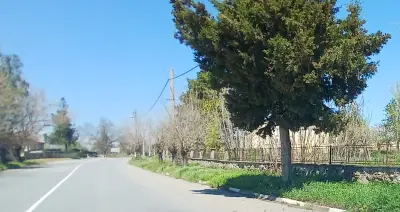Кметство Пет могили