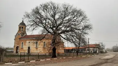Кметство Ловец