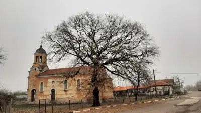 Кметство Ловец
