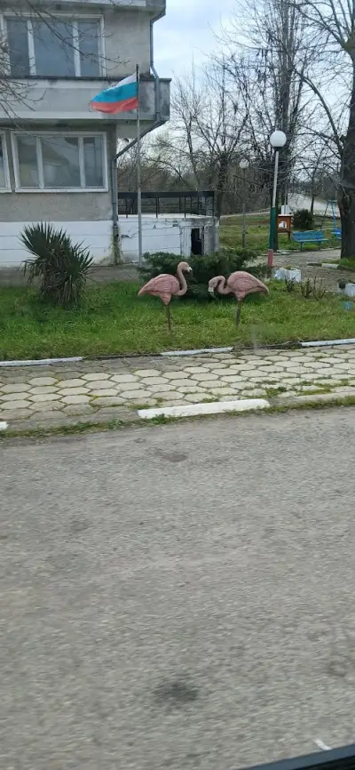 Кметство Стрелец