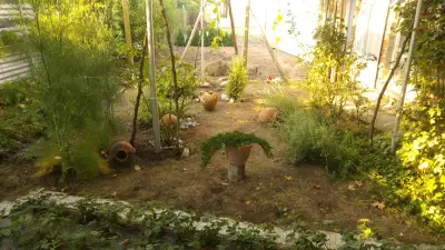 Кметство Петрово