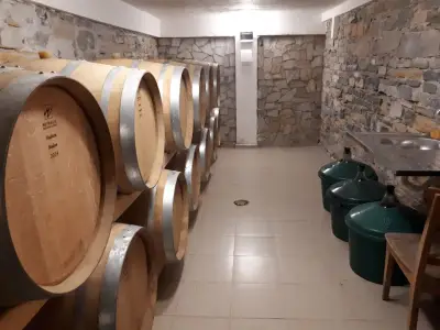 Кметство Винарово