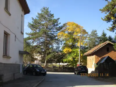 Кметство Румянцево
