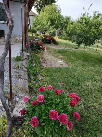 Кметство Кошарево