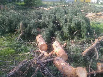 Кметство Гара Елин Пелин