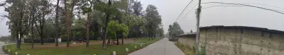 Кметство Кривина