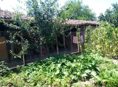 Кметство село Каранци