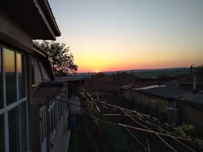 Кметство Мъдрево
