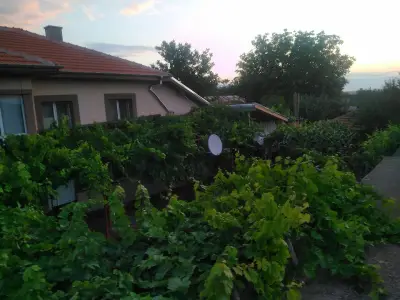 Кметство Мъдрево