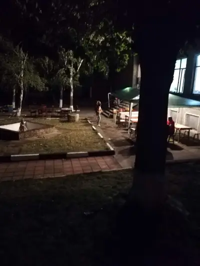 Кметство Мъдрево