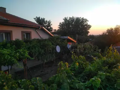 Кметство Мъдрево