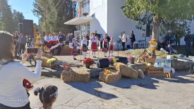Кметство Божичен