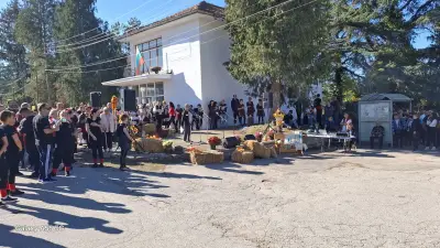 Кметство Божичен