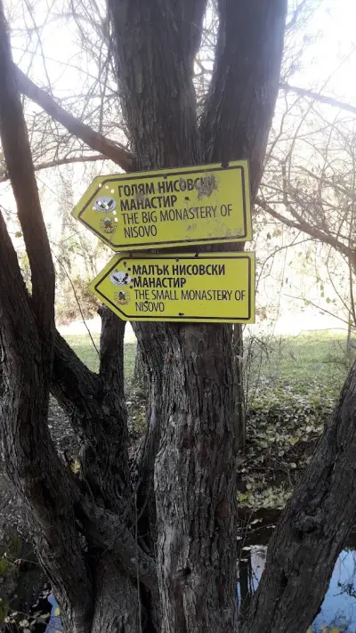Кметство Нисово