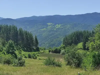 Кметство Беден