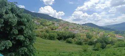 Кметство Върбина