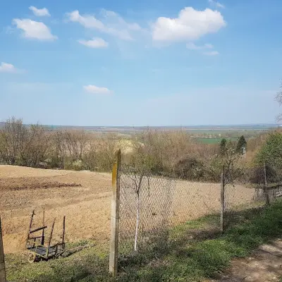 Кметство Росица