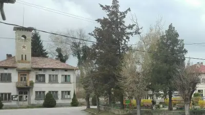 Кметство Росица
