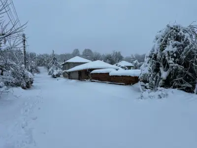 КМЕТСТВО КОСТАНДЕНЕЦ