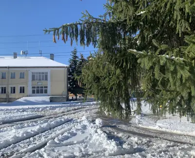 КМЕТСТВО КОСТАНДЕНЕЦ