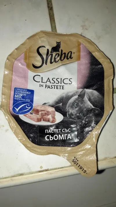 Кметство Острово