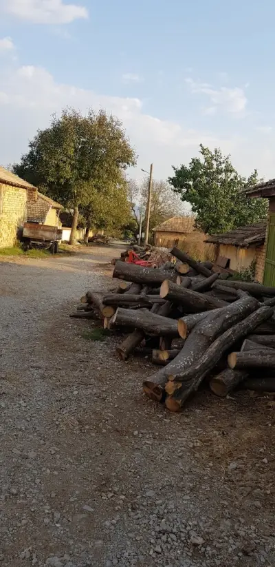 Кметство Козица