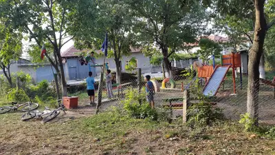 Кметство Липник