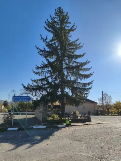 Кметство Марково