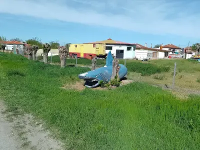 Кметство Опълченец