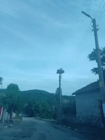 Кметство Брягово