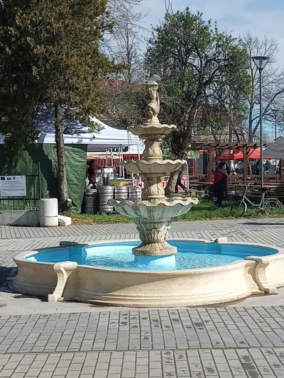 Кметство Цалапица