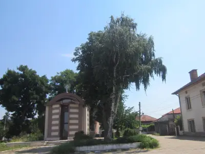 КМЕТСТВО БИВОЛАРЕ