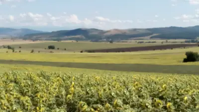 КМЕТСТВО РЕЖАНЦИ