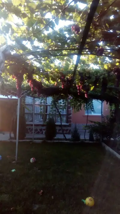 Кметство Горно Ботево