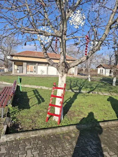 Кметство Дядово