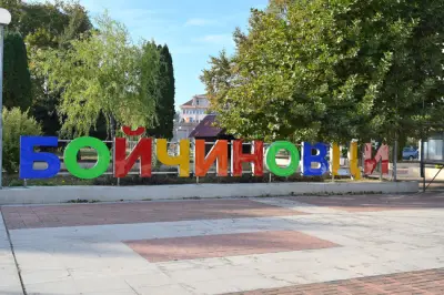 Община Бойчиновци